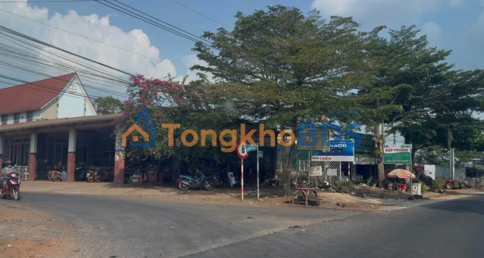 Rẫy cà phê Thôn 3 Đắk Nia 1,5 ha - Sổ đỏ chính chủ