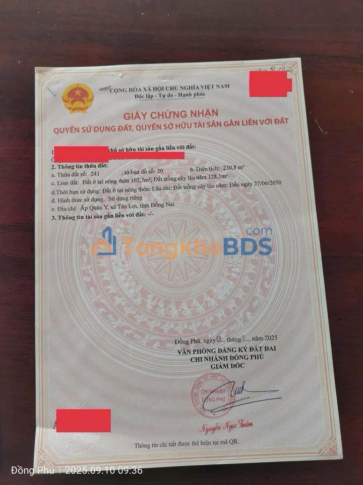 Đất nền Tân Lợi Bình Phước 230m² 500 triệu - Sổ đỏ chính chủ