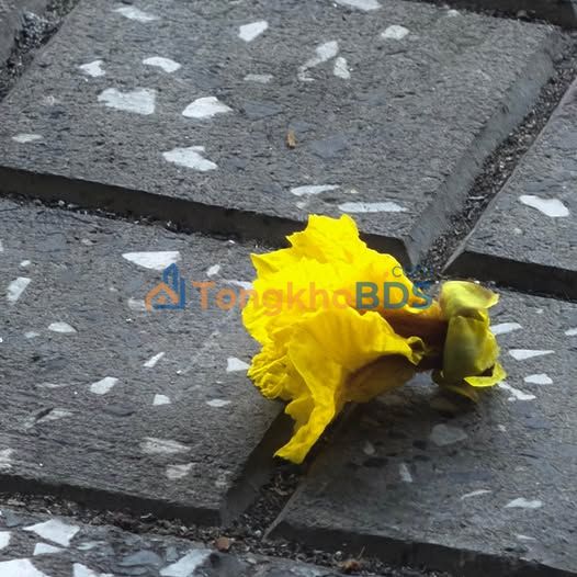 Đất Lan Anh 2 Tam An 100m² 1.42 tỷ - Xây dựng tự do