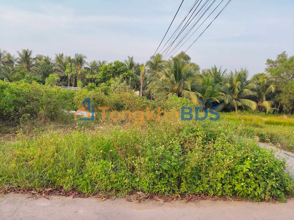 Đất Phường 4 Trà Vinh 275m² 700 triệu - Sổ đỏ chính chủ