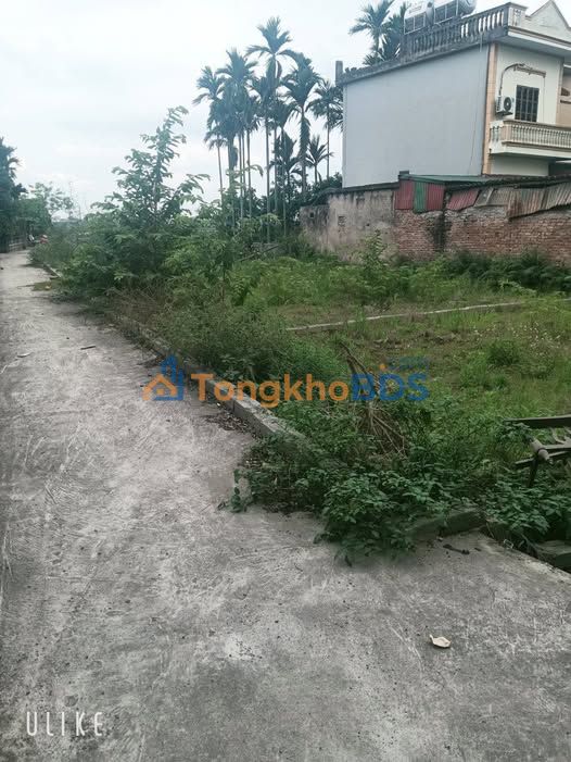 Đất nền Tự Nhiên Thường Tín 41m² 2.5 tỷ - Xây dựng tự do