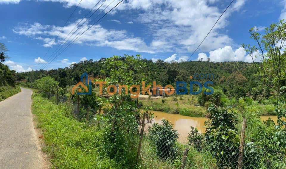 Farm Tân Lạc Bảo Lâm 2.3ha 38,33 tỷ - Giá tốt hiếm có