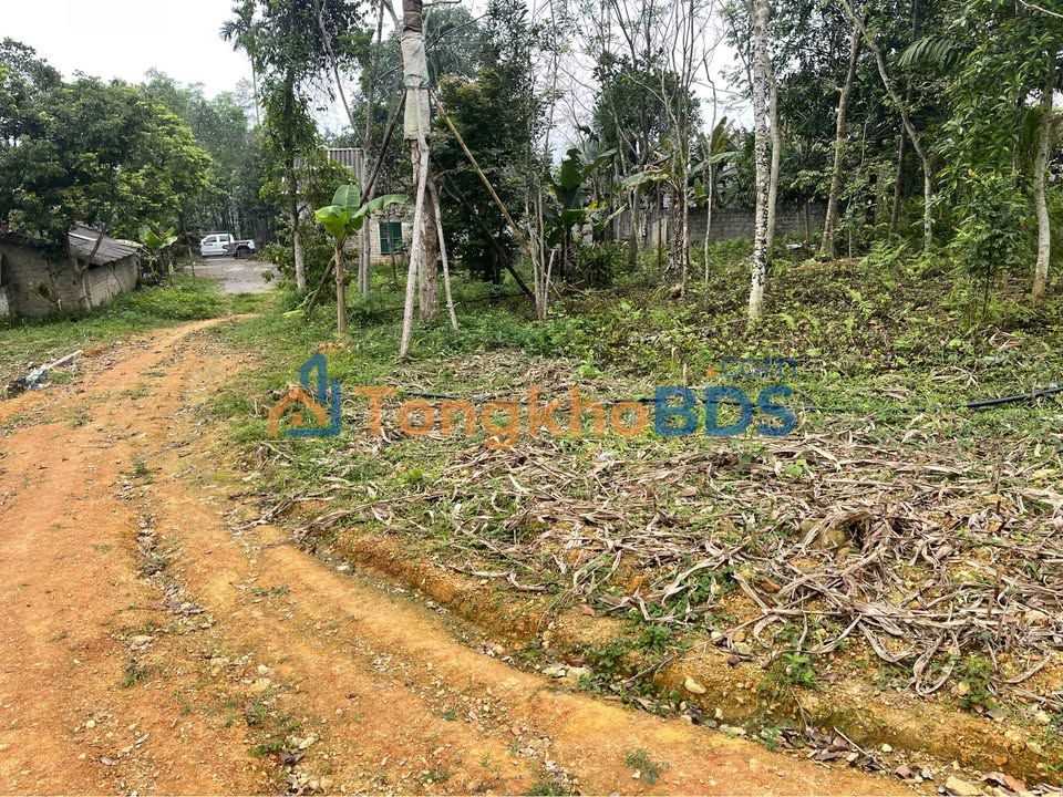 Đất vườn Cát Nê Đại Từ 400m² 5 tỷ - Nghỉ dưỡng lý tưởng