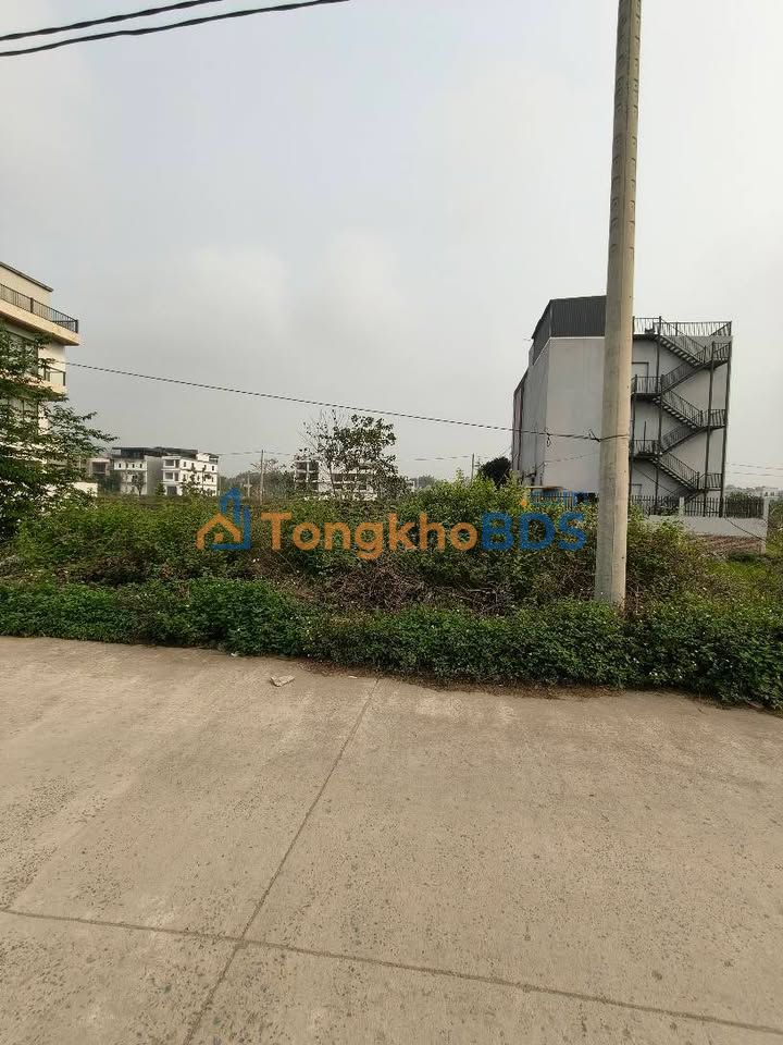 Đất vườn Trực Thắng 308m² giá thỏa thuận - Đầu tư dài hạn