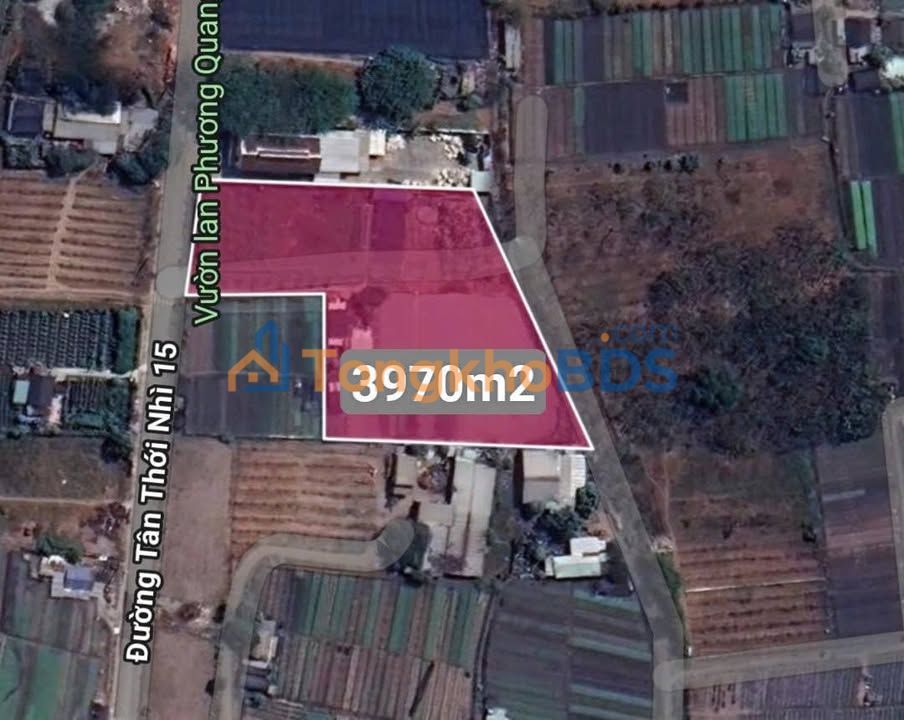 Đất nông nghiệp Tân Thới Nhì 15 3 triệu/m² - Sổ đỏ chính chủ