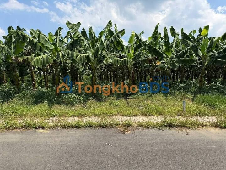 Đất Tân Lạc Bảo Lâm 144m² 495 triệu – Sổ đỏ chính chủ