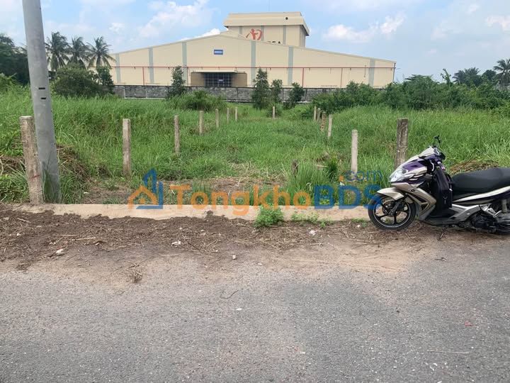 Đất nền Nhựt Chánh Bến Lức 100m² 800tr - Đường nhựa ô tô