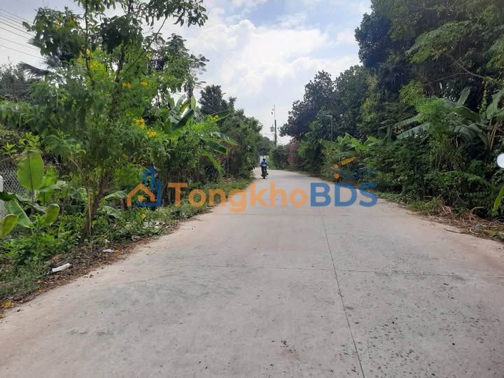 Đất thổ cư Lộc Giang Long An 183m² 1 tỷ - Sổ hồng riêng