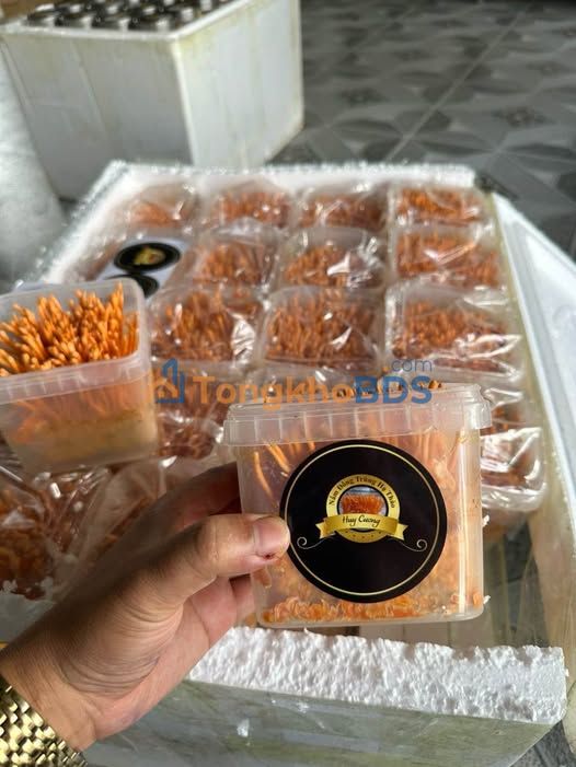 Đất nền Trảng Bàng 200m² 600 triệu - Sổ đỏ chính chủ