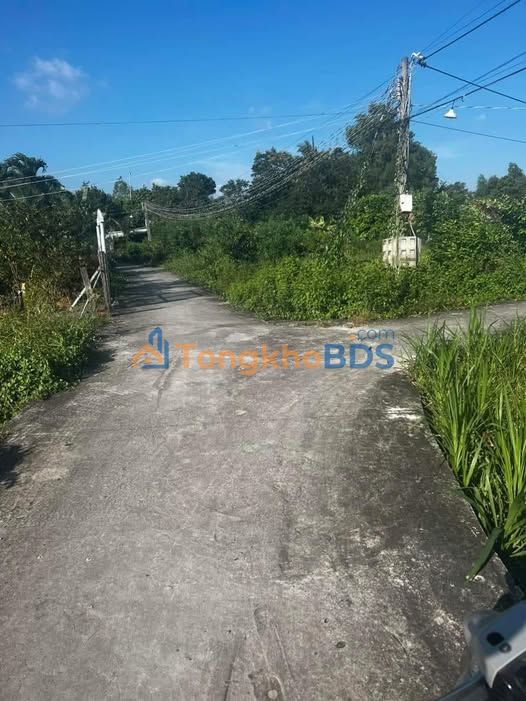 Đất nền Phú Ngãi Trị Long An 210m² 650 triệu - Giá tốt hiếm có