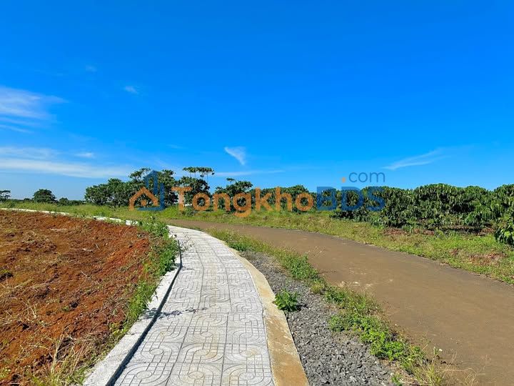 Đất Lộc Ngãi Bảo Lâm 200m² 550tr - Sổ đỏ chính chủ