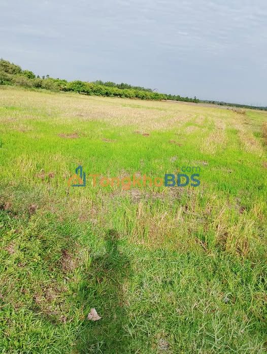 Đất nền Truông Mít 5.3 công 1.0335 tỷ - Sổ đỏ