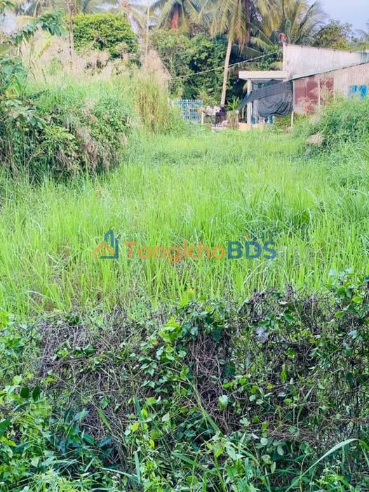 Đất nền An Hiệp Châu Thành 228m² 670 triệu - Đường ô tô vào thẳng