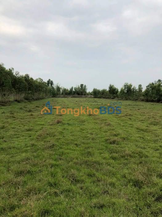 Đất Khu phố 4 Đông Thành Long An 2005m² 1.7 tỷ - Sổ đỏ chính chủ