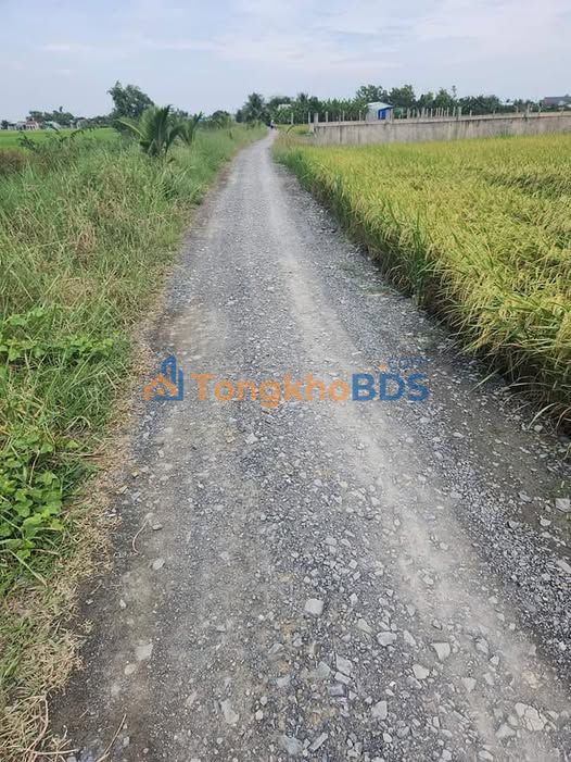 Đất nền Tân Lân Long An 2712m² 4.068 tỷ - Sổ đỏ chính chủ