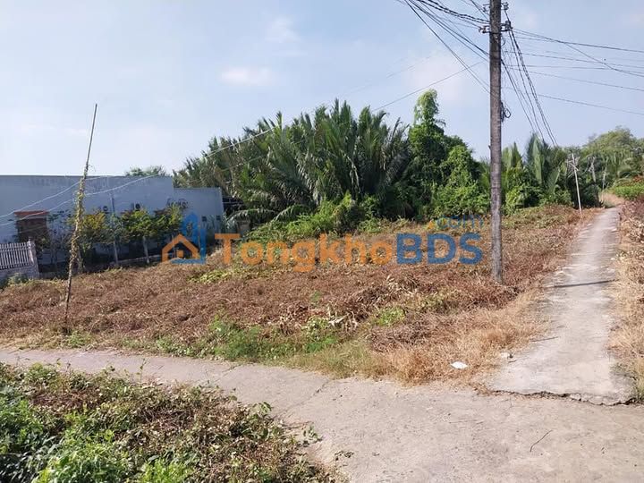 Đất nền Long Hựu Tây 110m² 300 triệu - Tiềm năng tăng giá