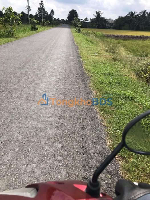 Đất nền TL909 Đức Hòa 200m² 380tr - Sổ đỏ chính chủ