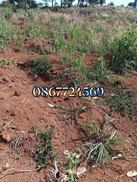 Đất nền Bắc Gia Nghĩa 35.000m² 1,25 tỷ - Tiềm năng tăng giá