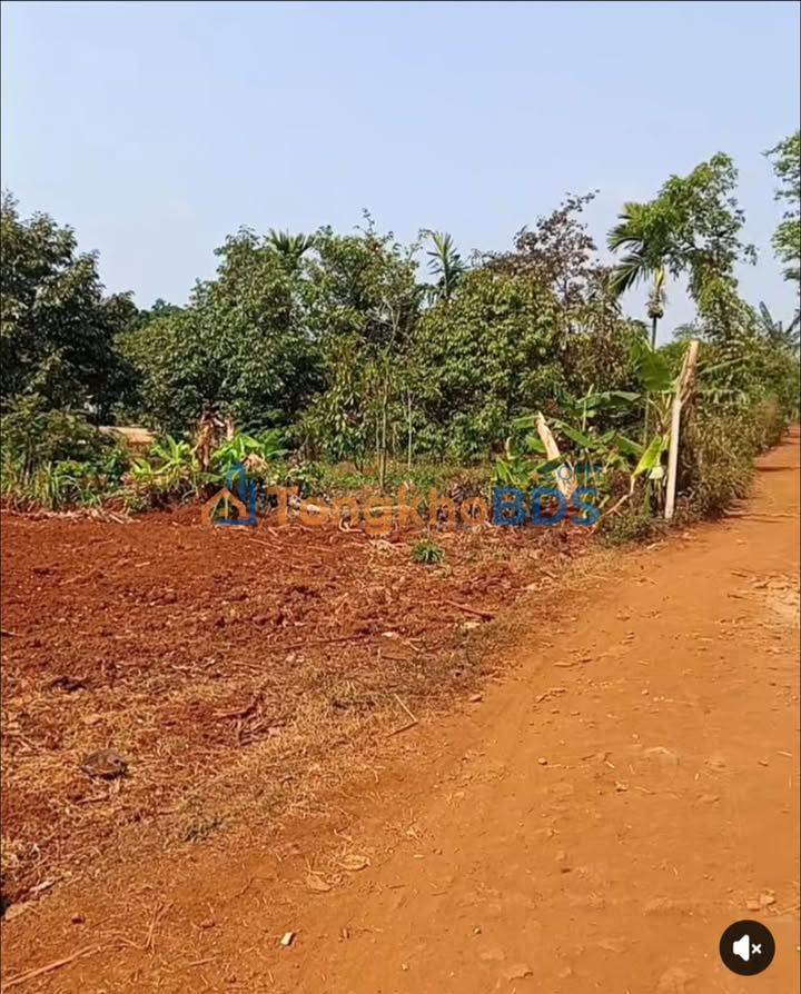 Đất nền Thị trấn Ea Kar 1.865m² giá 660 triệu - Sổ đỏ chính chủ