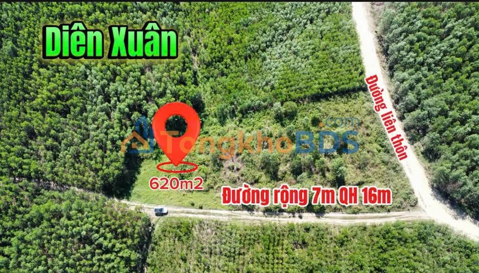 Farm Diên Lâm Khánh Hòa 620m2 269 triệu - Sổ hồng rõ ràng