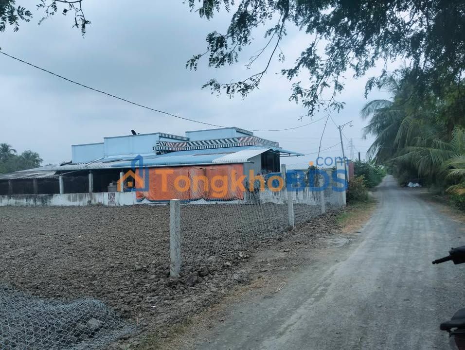 Đất nền Phú Thành Cai Lậy 1.300m² 2 tỷ - Sổ đỏ chính chủ