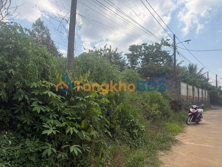 Đất thổ cư Bảo Lộc 200m² 250 triệu/m - Đất thổ cư 100%