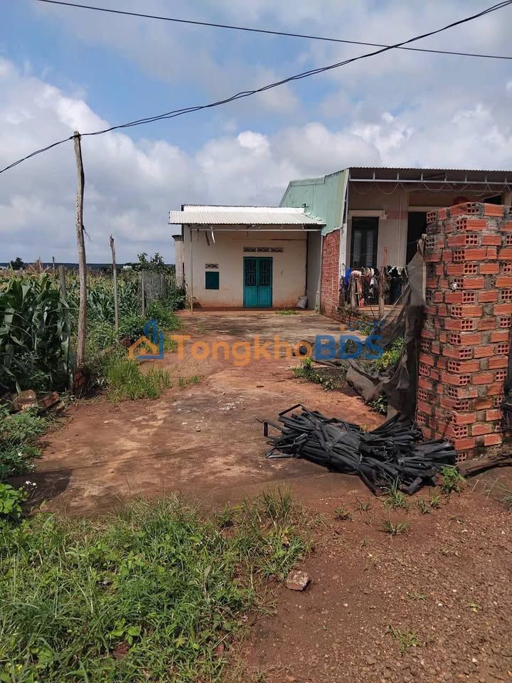 Đất nền Chư Sê 496m² 630 triệu - Sổ hồng rõ ràng