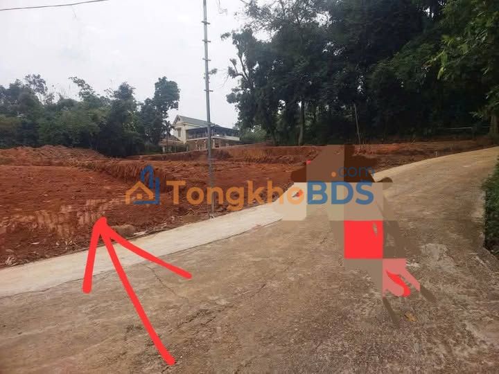 Đất nền Phù Ninh Phú Thọ 220m² 480 triệu - Đất thổ cư 100%