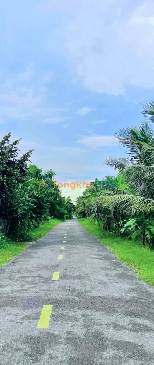 Đất nền Long Đức Trà Vinh 3.561m² 1 tỷ - Sổ hồng chính chủ