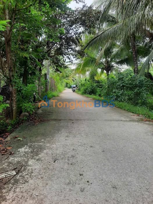 Đất vườn Hưng Khánh Trung B 2.106m² 2,4 tỷ - Đầu tư dài hạn