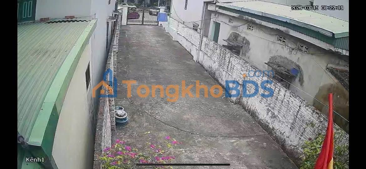 Đất nền Yết Kiêu Hạ Long 113m² - Đường ô tô vào tận đất