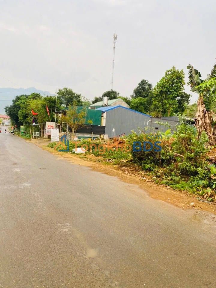 Đất thổ cư Hợp Phong 750m² 1 tỷ - Sổ đỏ chính chủ