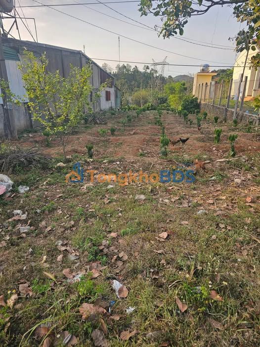 Đất nền Đắk Sôr Krông Nô 600m² 1.5 tỷ - Tiềm năng tăng giá