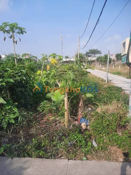 Đất nền Thới Hòa Hóc Môn 110m² 750 triệu - Tiềm năng tăng giá