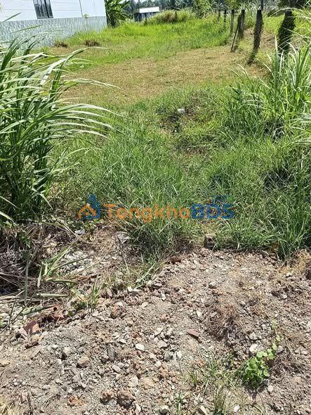 Đất nền Bình Thới 214m² 4 tỷ - Đất thổ cư 100%