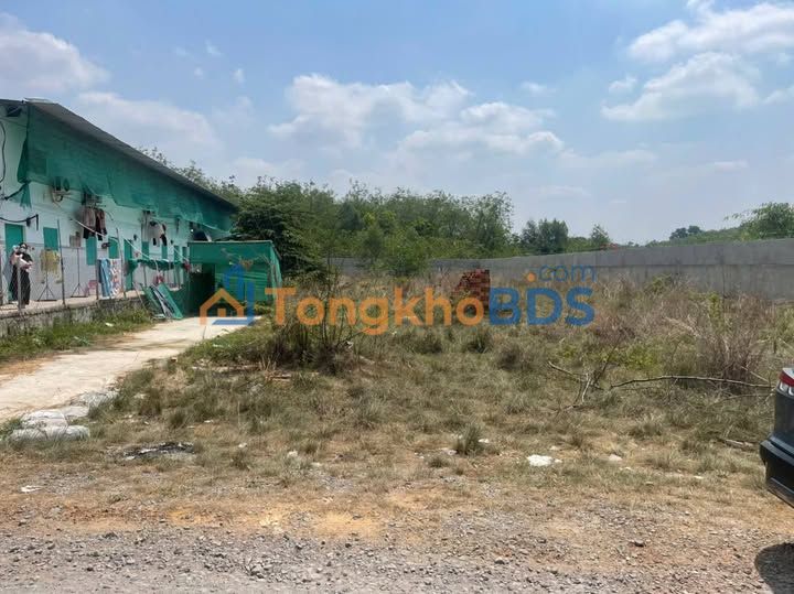 Đất nền Hòa Lợi Bến Cát 1.500m² giá thương lượng - Sổ đỏ từng lô, đầu tư kho xưởng