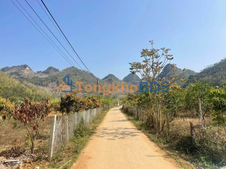 Đất vườn Chiềng Ngần 3000m² 900 triệu - Đầu tư dài hạn