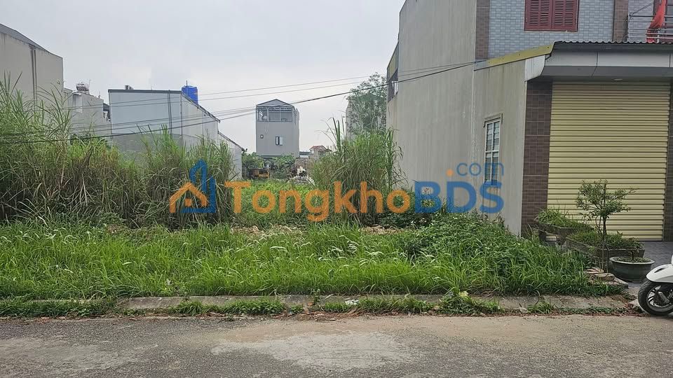 Đất nền Cẩm Điền 126.5m² giá thỏa thuận - Sổ đỏ chính chủ