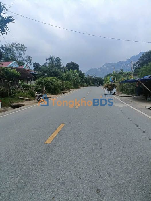 Đất nền Bá Thước QL217 144-166m² - Sổ đỏ chính chủ