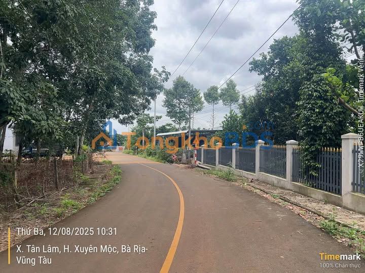 Đất vườn Tân Lâm Xuyên Mộc 15.916m² 28,74 tỷ - Đầu tư dài hạn