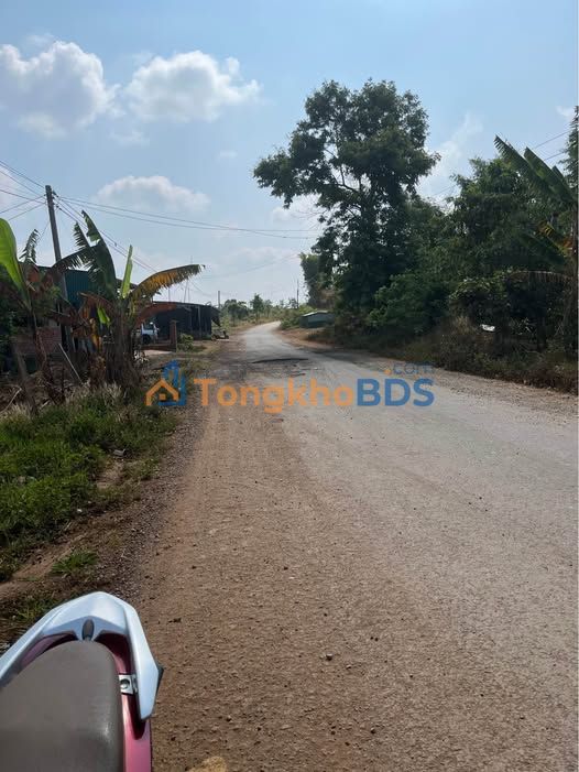 Đất nền Quốc lộ 14 Ea H'Leo 500m² - Đất thổ cư 100%