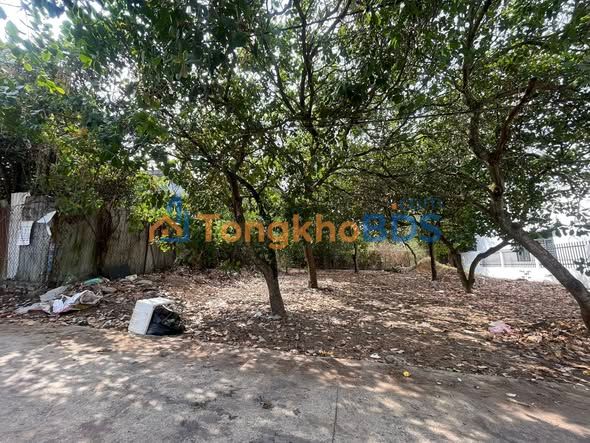 Đất nền Đồng Xoài Tân Phú 399m² 2.6 tỷ - Sổ đỏ chính chủ