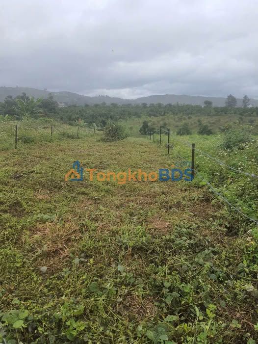 Đất thổ cư Bảo Lộc 295m² 550tr - Sổ đỏ chính chủ