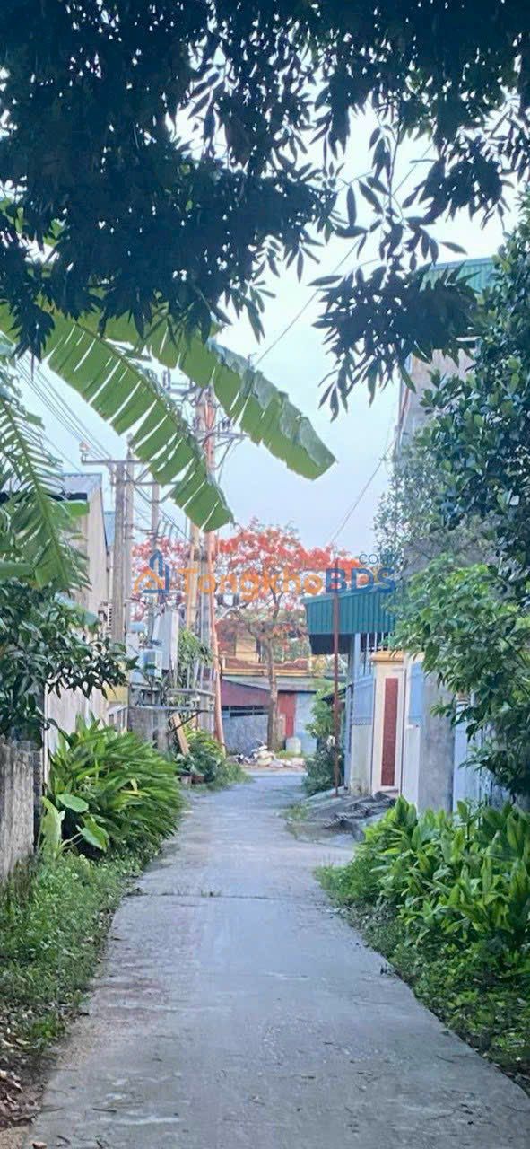 Đất nền Quang Trung Uông Bí 800m² - Đường to ô tô