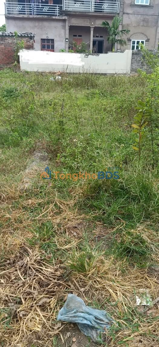 Đất nền Thôn Chùa Bắc Giang 110m² giá 9xx triệu - Sổ đỏ chính chủ