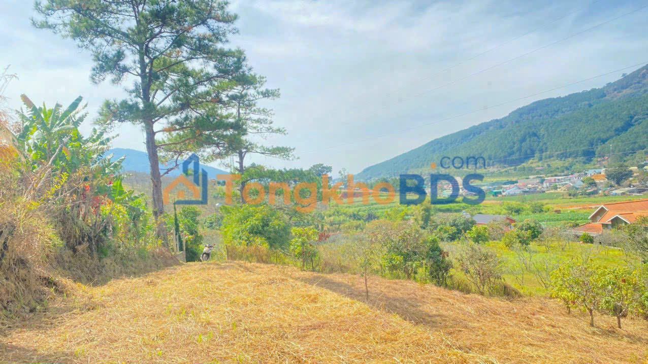 Đất nền Hiệp An 648m² 4,536 tỷ - Tiềm năng tăng giá