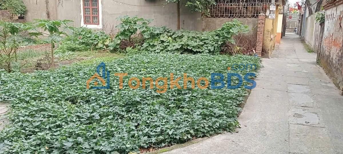 Đất nền Liên Ninh 52m² giá 5 tỷ - Tiềm năng tăng giá