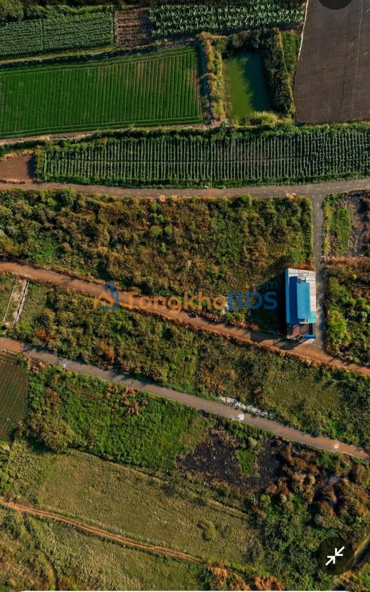 Đất nền Liên Nghĩa Đức Trọng 120m² 900tr - Đất thổ cư 100%