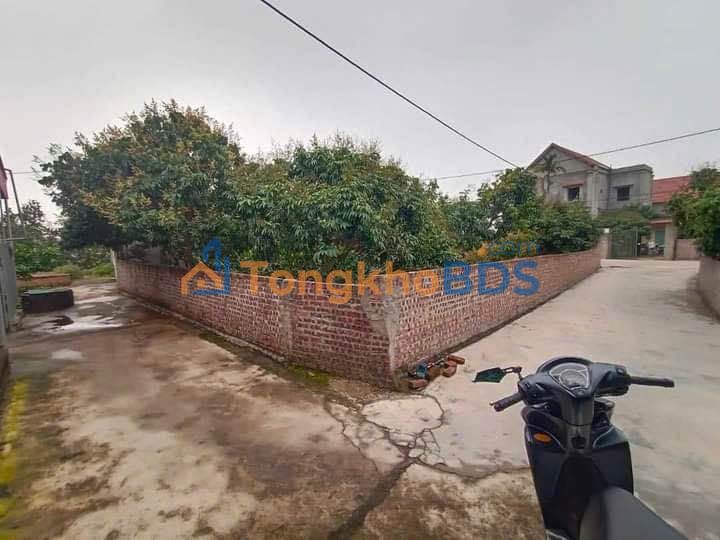 Đất nền Thanh Thủy 100m² 500 triệu - Sổ đỏ chính chủ