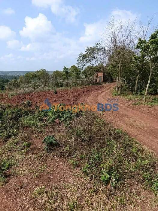 Đất nền Ea Kao Buôn Ma Thuột 1.8ha 12.5 tỷ - Sổ đỏ chính chủ